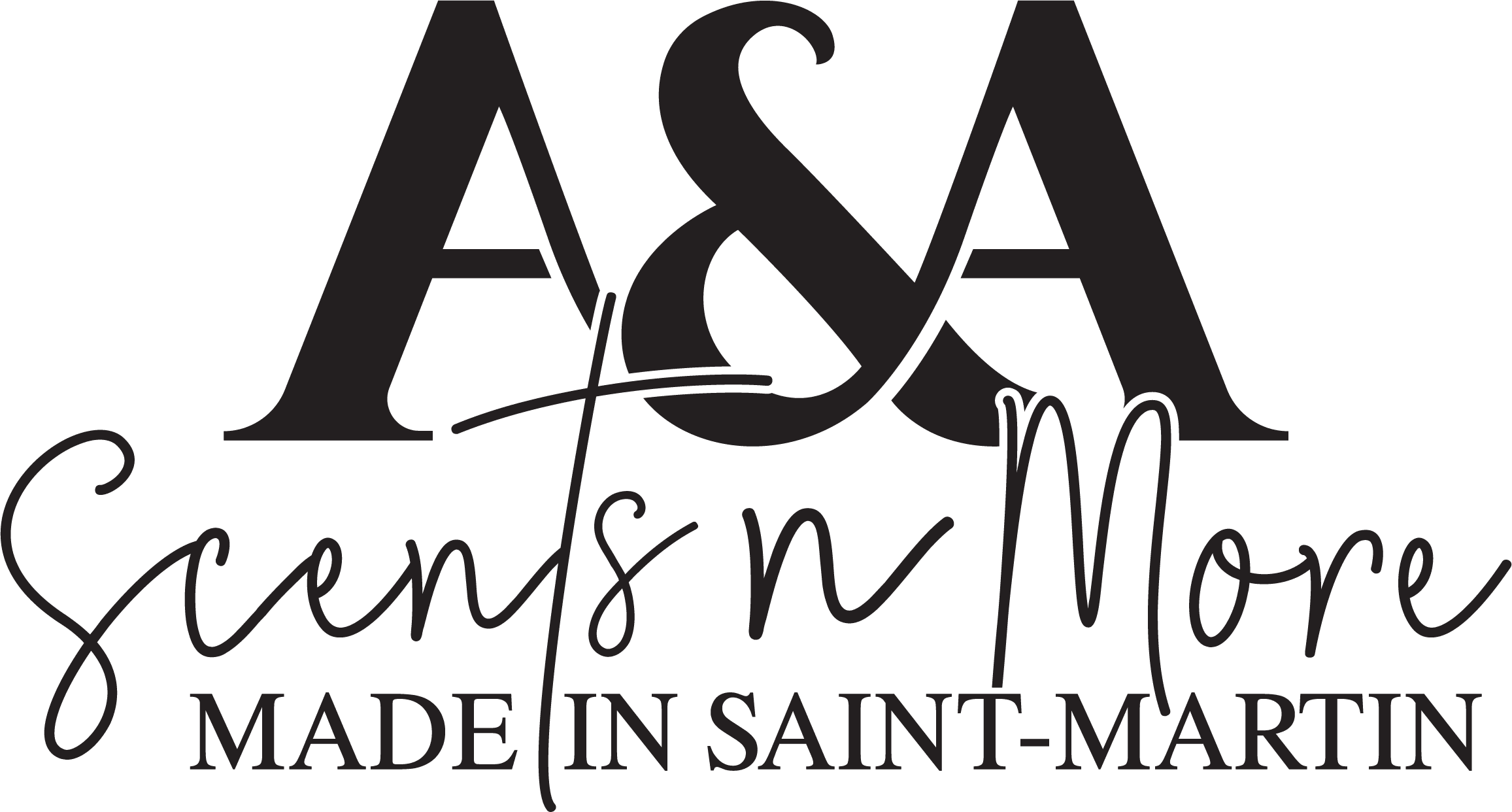 aasnm_logo